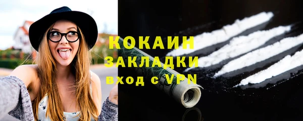 ешки Горняк