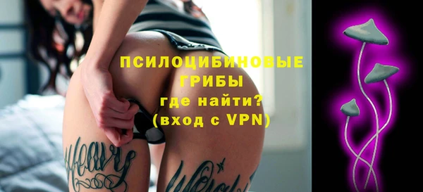 ешки Горняк