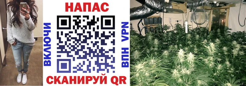 Канабис SATIVA & INDICA  Омутнинск 